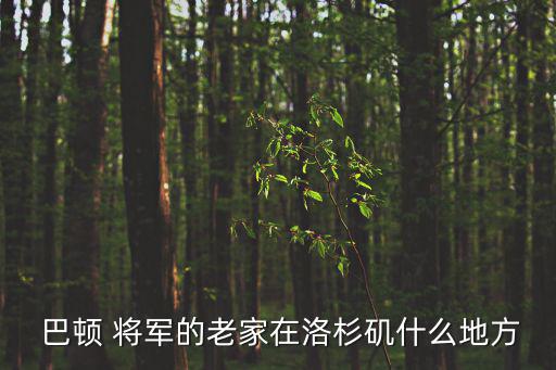  巴頓 將軍的老家在洛杉磯什么地方