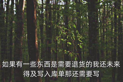 如果有一些東西是需要退貨的我還未來得及寫入庫單那還需要寫