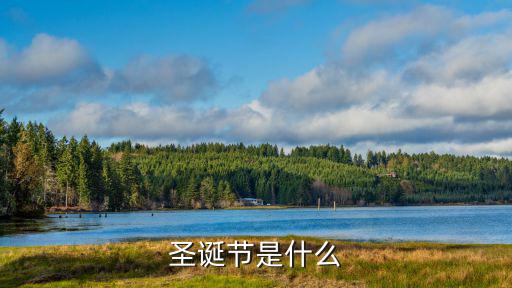 圣誕節是什么