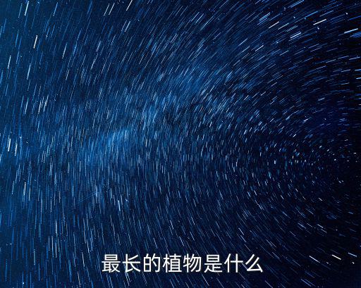  最長(zhǎng)的植物是什么