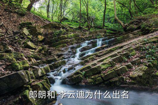 郎朗和 李云迪為什么出名