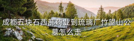 成都五塊石西部藥業(yè)到琉璃廠竹望山公墓怎么走