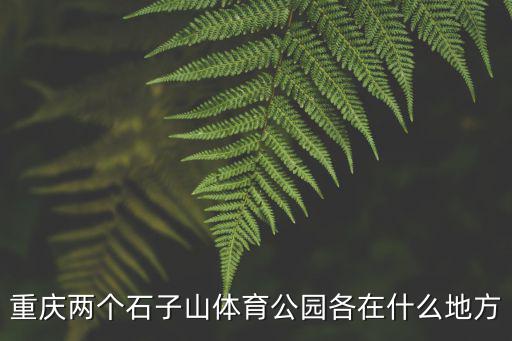 重慶兩個石子山體育公園各在什么地方