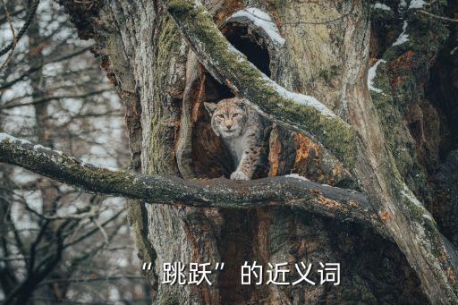 跳躍造句,跳躍拼音:跳棋、跳繩、跳遠(yuǎn),跳高