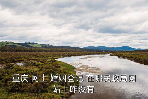 重慶市民政局何，重慶 網上 婚姻登記 在哪民政局網站上咋沒有