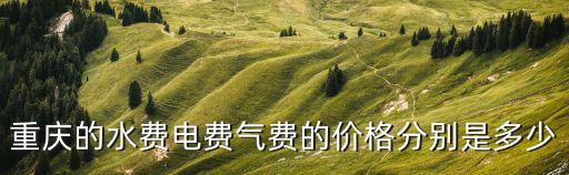 重慶的水費電費氣費的價格分別是多少