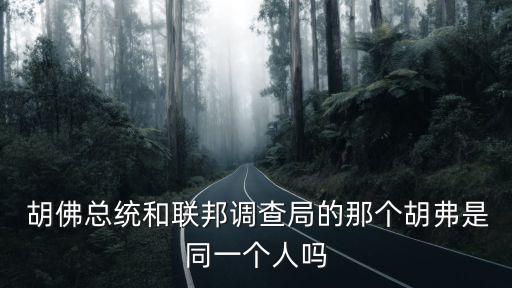 胡佛總統和聯邦調查局的那個胡弗是同一個人嗎