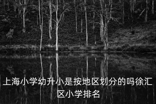 上海小學(xué)幼升小是按地區(qū)劃分的嗎徐匯區(qū)小學(xué)排名