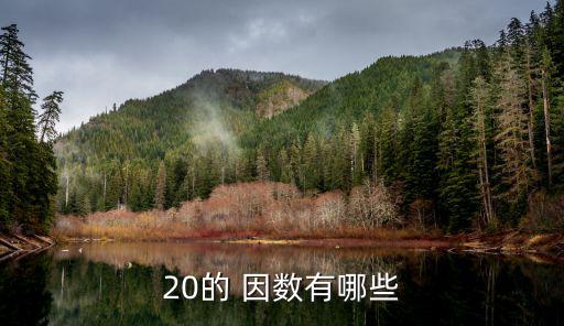 20的 因數有哪些