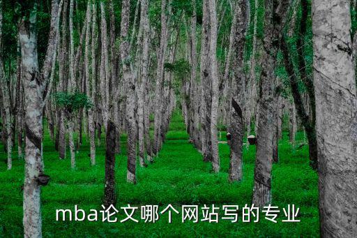 mba碩士論文，MBA畢業論文哪家好
