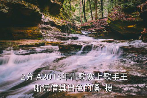  2分 A2013年青歌賽上歌手王晰憑借其出色的嗓  搜