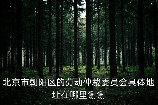 北京市朝陽區(qū)的勞動(dòng)仲裁委員會(huì)具體地址在哪里謝謝