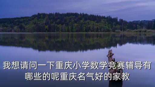 我想請問一下重慶小學數學競賽輔導有哪些的呢重慶名氣好的家教