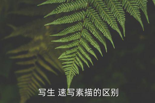 寫生速寫,小字速寫（quicksketch）有何不同?