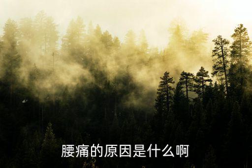 腰痛的原因是什么啊