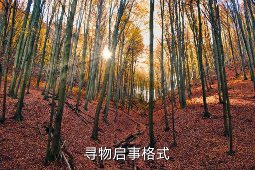 尋物啟事格式