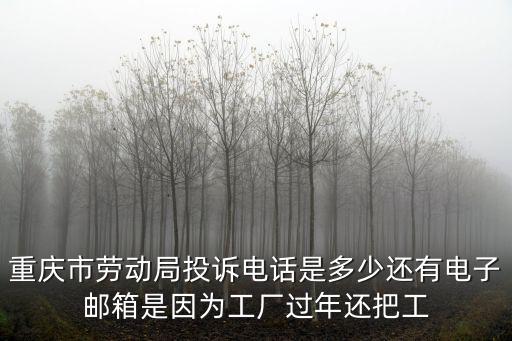 重慶市開(kāi)州勞動(dòng)局電話(huà)，重慶市開(kāi)縣勞動(dòng)監(jiān)察局電話(huà)是多少呢