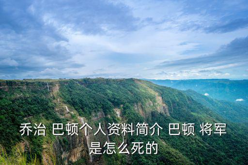 巴頓將軍簡介,因政見不同被解職巴頓:他是我最好的軍人
