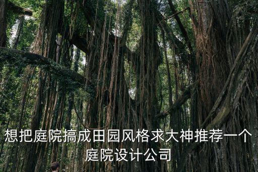 私家小庭院設(shè)計(jì)實(shí)景圖 田園，急求農(nóng)家小院裝修效果圖