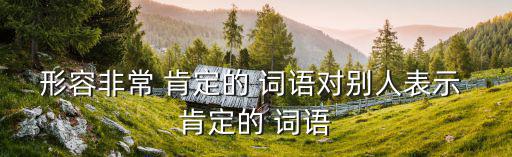 表示肯定的詞語,第一集:選擇了就做決定