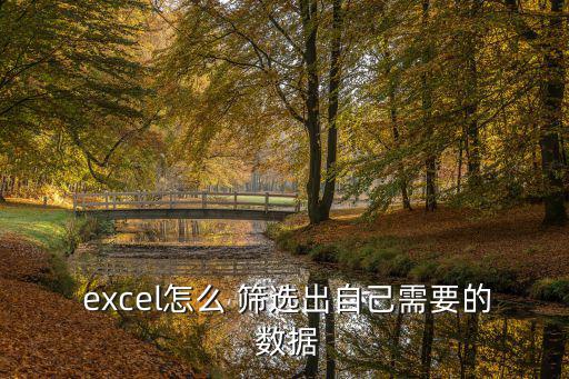  excel怎么 篩選出自己需要的 數(shù)據(jù)
