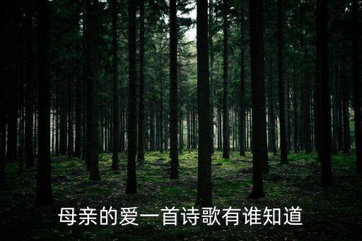 母親的愛詩歌，關于媽媽愛的詩歌