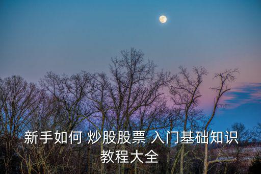  新手如何 炒股股票 入門基礎知識教程大全