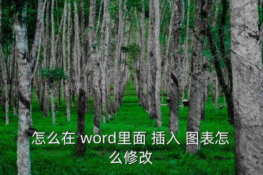 怎么在 word里面 插入 圖表怎么修改