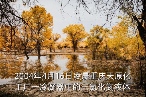 2004年4月16日凌晨重慶天原化工廠一冷凝器中的三氯化氮液體
