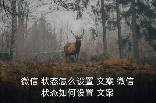  微信 狀態(tài)怎么設(shè)置 文案 微信 狀態(tài)如何設(shè)置 文案