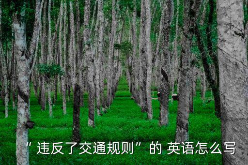 “ 違反了交通規(guī)則”的 英語怎么寫