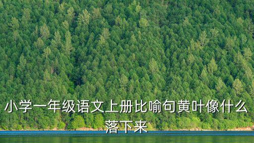 一年級(jí)比喻句，怎樣給一年級(jí)的學(xué)生講比喻句求知道