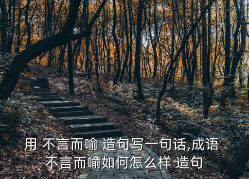 不言而喻造句,第二集:不言而喻的選區競選廣播