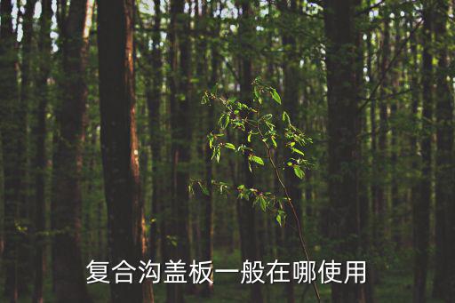 重慶市D錦鑄造復合蓋板，復合溝蓋板一般在哪使用