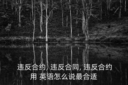  違反合約, 違反合同, 違反合約用 英語怎么說最合適