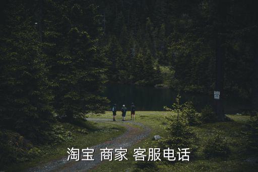 天貓商家客服,淘寶正式員工天貓那是淘寶的正式職員