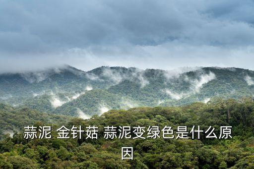  蒜泥 金針菇 蒜泥變綠色是什么原因