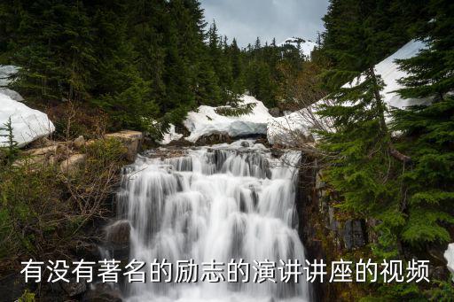 有沒有著名的勵志的演講講座的視頻