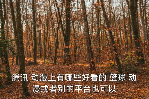 騰訊 動(dòng)漫上有哪些好看的 籃球 動(dòng)漫或者別的平臺(tái)也可以