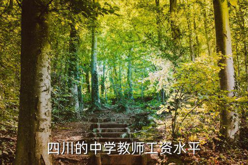 成都市屬中學(xué)教師待遇，四川的中學(xué)教師工資水平