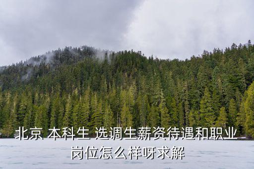 2023年北京選調生職位表，2013北京選調生考試職位表下載