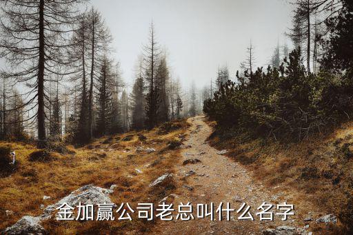 金加贏公司老總叫什么名字