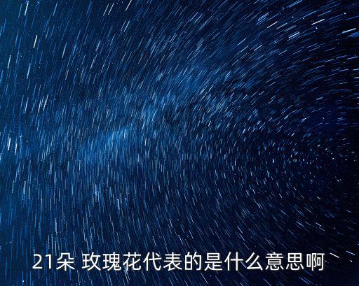 21朵 玫瑰花代表的是什么意思啊