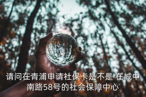請問在青浦申請社保卡是不是 在城中南路58號的社會保障中心