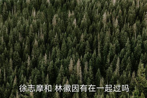  徐志摩和 林徽因有在一起過嗎