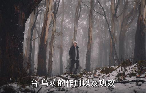 臺 烏藥的作用以及功效
