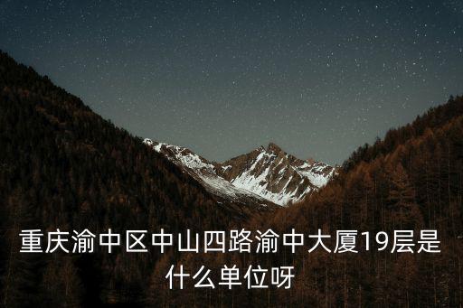 重慶市醉誠商貿(mào)有限公司，重慶渝中區(qū)中山四路渝中大廈19層是什么單位呀