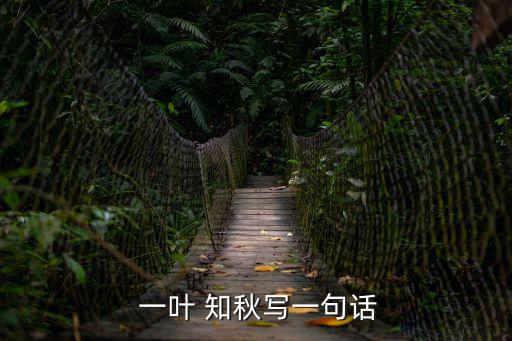 一葉知秋造句,一葉知秋之旅】第二集