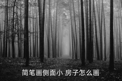 簡筆畫側面小 房子怎么畫