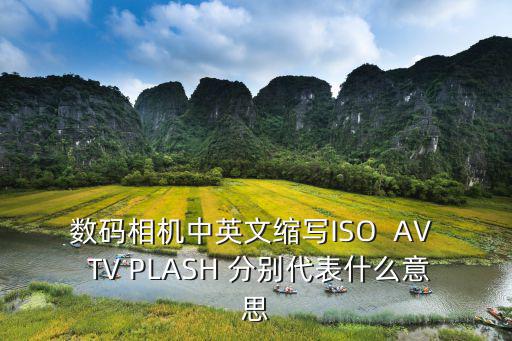 數碼相機中英文縮寫ISO  AV  TV PLASH 分別代表什么意思